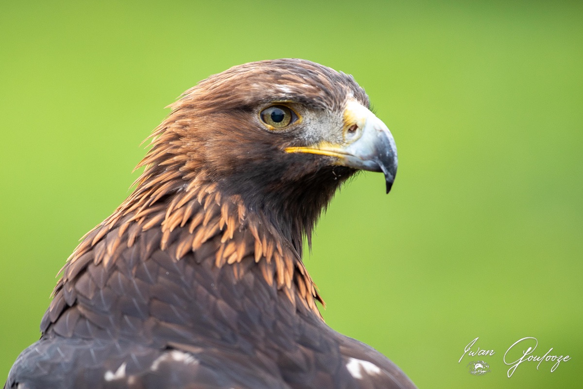  5D40265 28 november 2021 1130 23